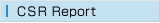 CSR Report